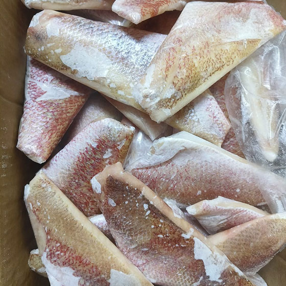 3 Kakap Fillet Skin On